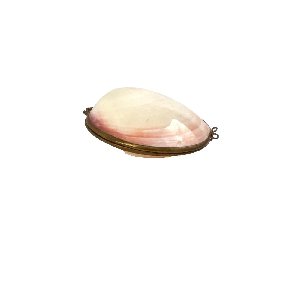 Vintage Tiger Clam Sea Shell Box Brass Hinged Natural Smooth Unique